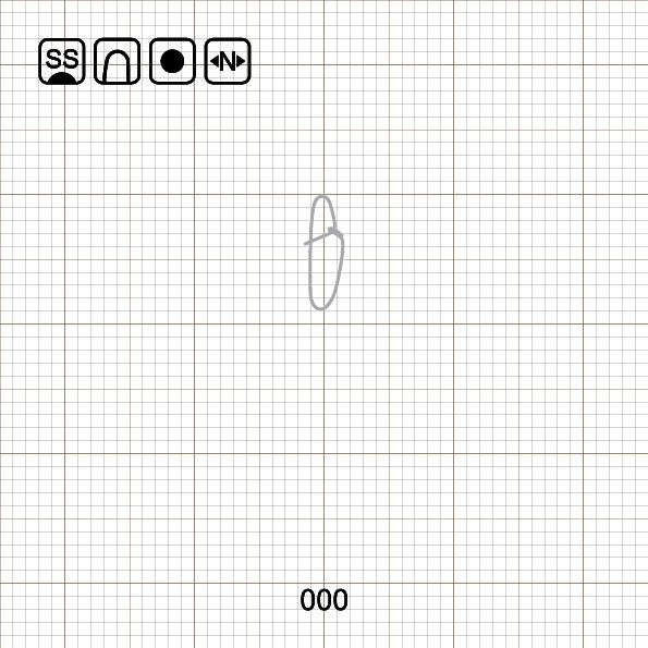 NEW HOOKED SNAP 000 SS / 10 шт.