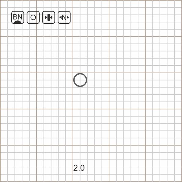 ROUND RIG RING 2.0 BN / 10 шт.