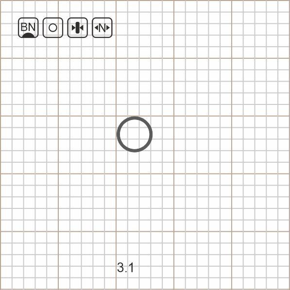 ROUND RIG RING 3.1 BN / 10 шт.