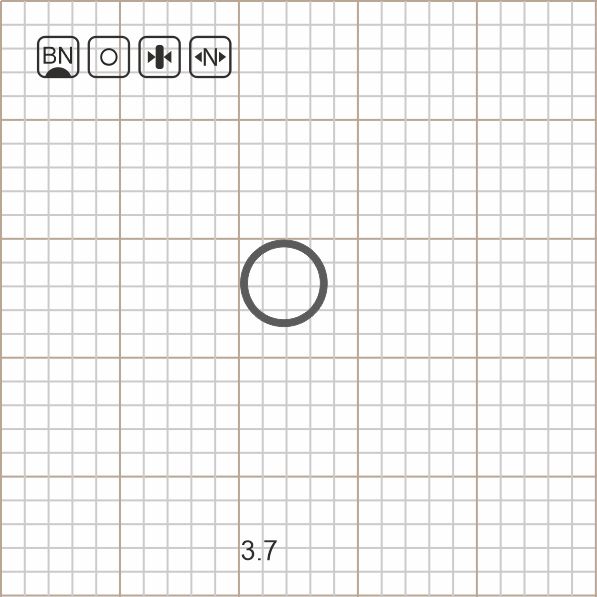 ROUND RIG RING 3.7 BN / 10 шт.
