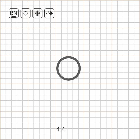 ROUND RIG RING 4.4 BN / 10 шт.