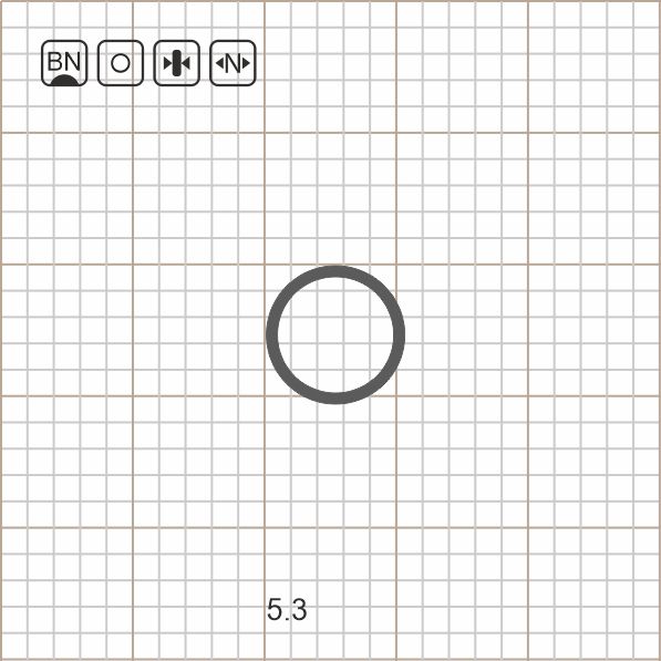 ROUND RIG RING 5.3 BN / 10 шт.